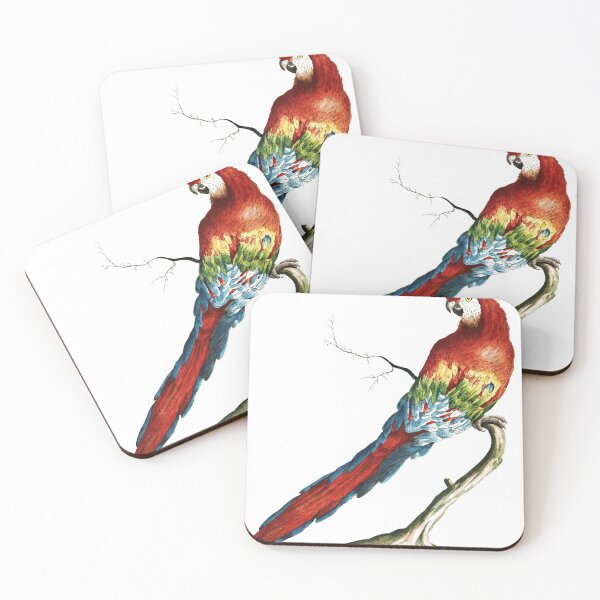 Item preview, Bird Engraving Prints by Saverio Manetti designed and sold by VintageModele.