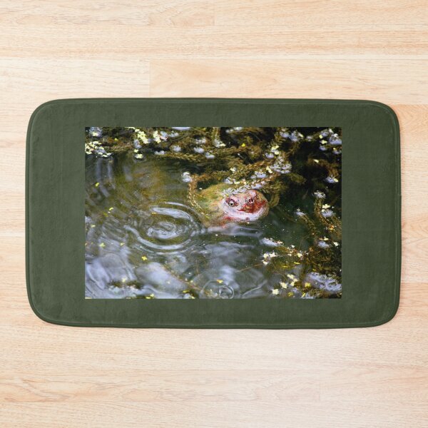 Item preview, Native Snapping Turtle Study 3 designed and sold by chstudios.
