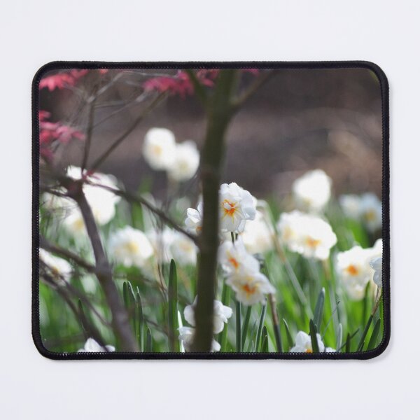 Item preview, White Daffodils designed and sold by Esther Hutchcroft.