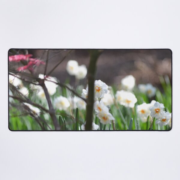 Item preview, White Daffodils designed and sold by Esther Hutchcroft.