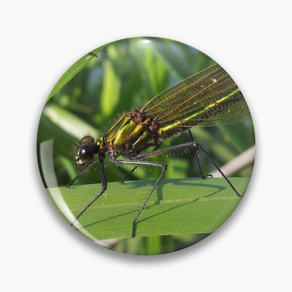 Item preview, emerald dameslfly designed and sold by oilycake.