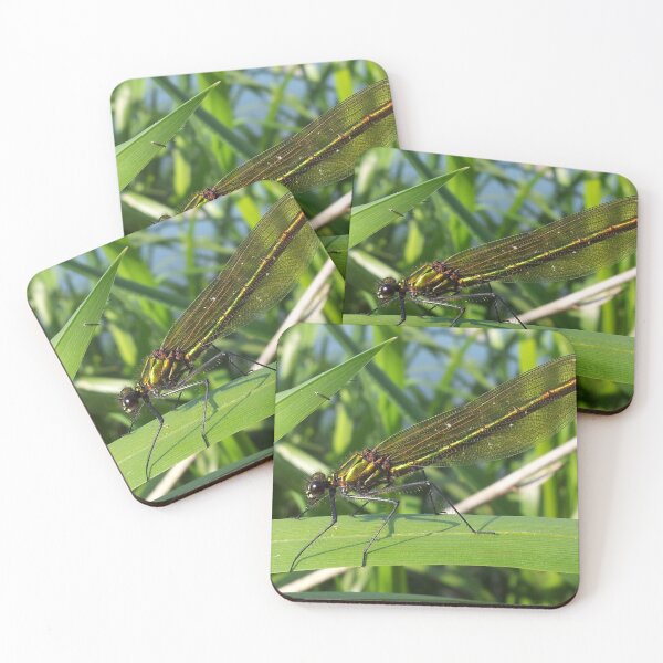 Item preview, emerald dameslfly designed and sold by oilycake.