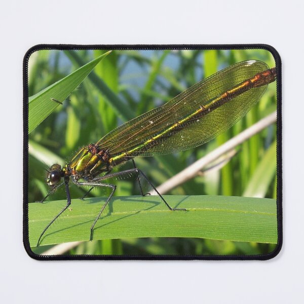 Item preview, emerald dameslfly designed and sold by oilycake.