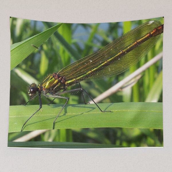 Item preview, emerald dameslfly designed and sold by oilycake.
