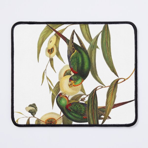 Item preview, swift parrot designed and sold by Benchamart.