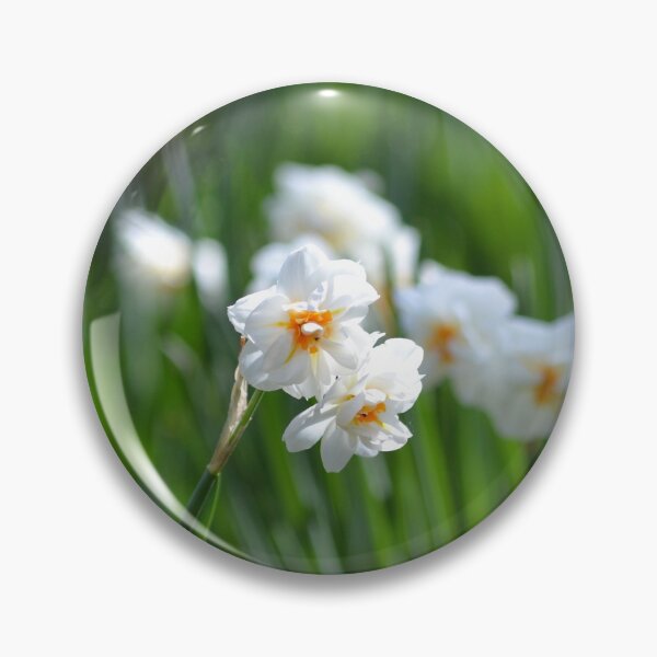 Item preview, White Daffodils designed and sold by Esther Hutchcroft.
