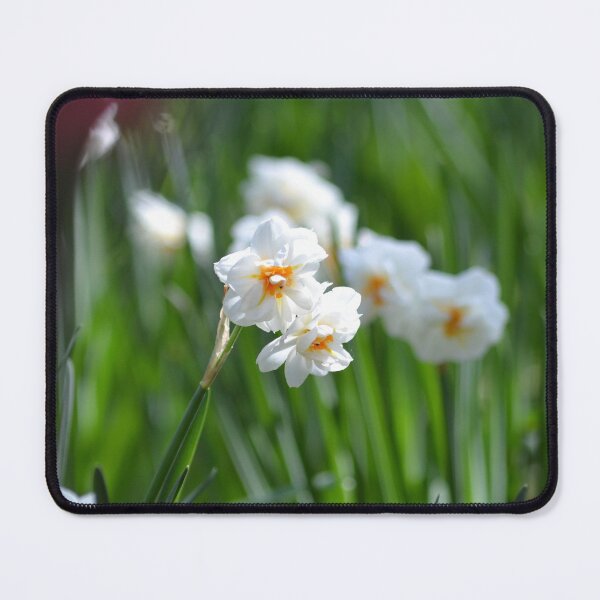 Item preview, White Daffodils designed and sold by Esther Hutchcroft.