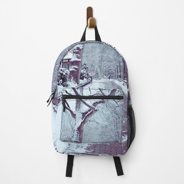 Item preview, Rittenhouse Square Philadelphia After Major Snow Storm designed and sold by PHLDesign.