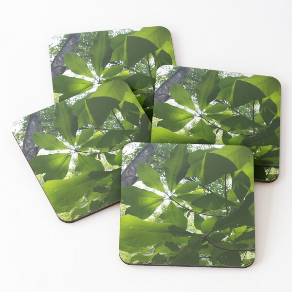 Item preview, Light through leaves designed and sold by zchriswit.