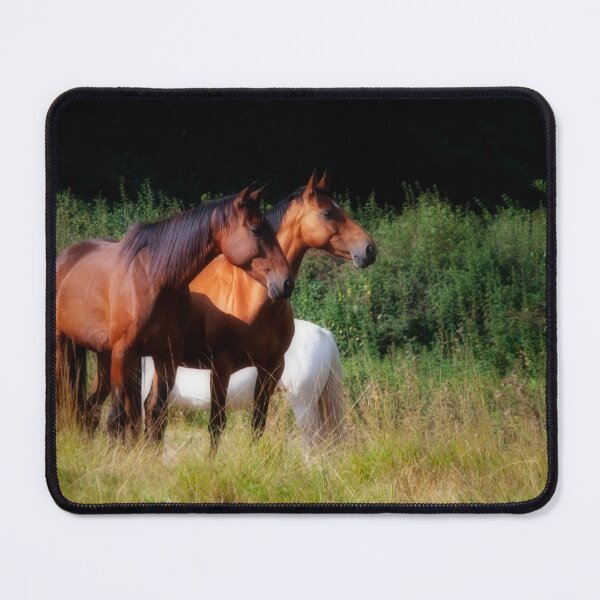 Item preview, Bay horses alert and watching designed and sold by LindaCooke.