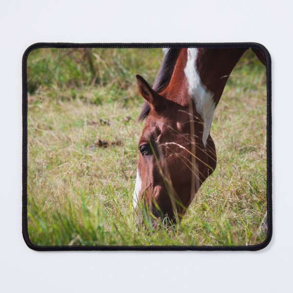 Item preview, Skewbald horse grazing designed and sold by LindaCooke.