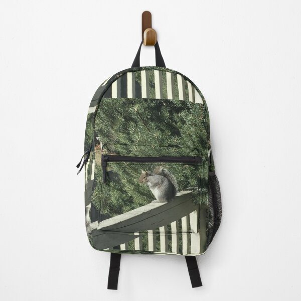 Item preview, Squirrel designed and sold by Amanda1775.