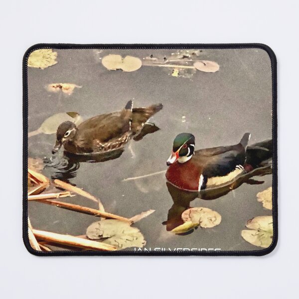 Item preview, Wood Ducks.  designed and sold by jansilversides.