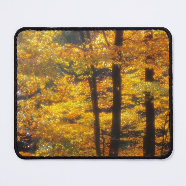 Item preview, Autumn in the beech wood. designed and sold by LindaCooke.