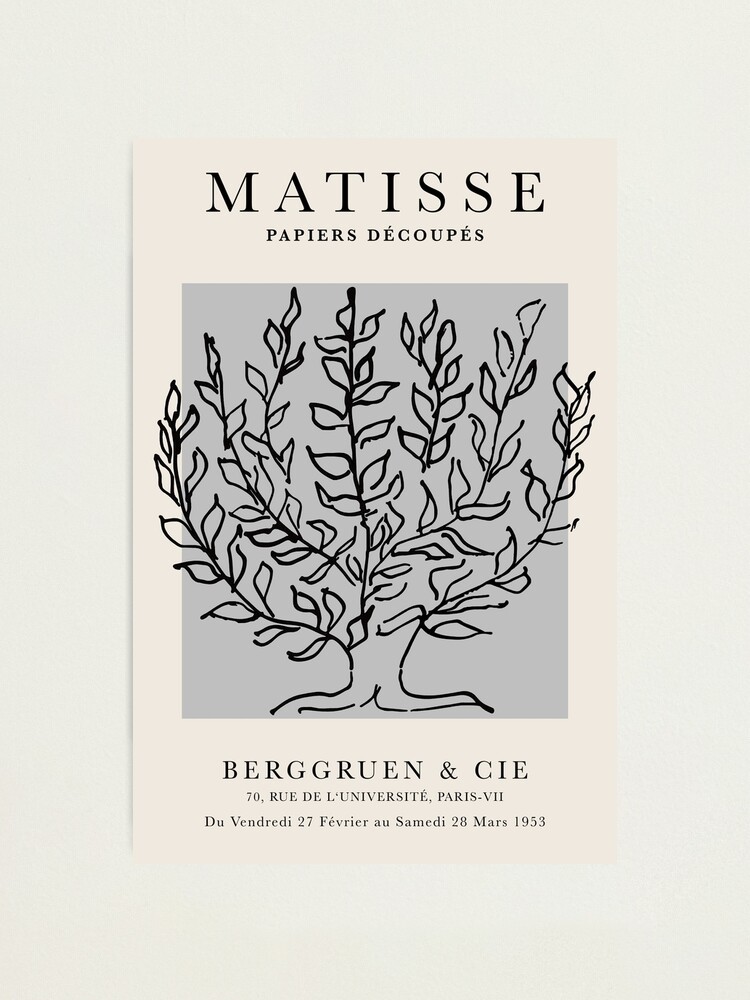 Henri Matisse le Platane, Paper Decoupes Art gray, Matisse