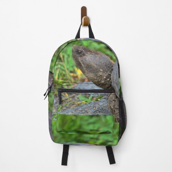 Item preview, Native Snapping Turtle study 2 designed and sold by chstudios.