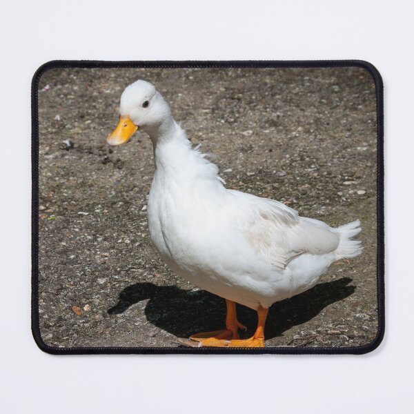 Item preview, White call duck designed and sold by LindaCooke.