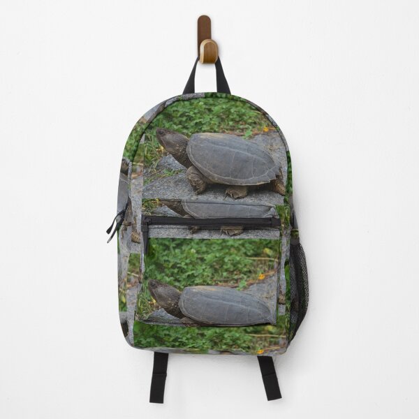 Item preview, Native Snapping Turtle Study 1 designed and sold by chstudios.