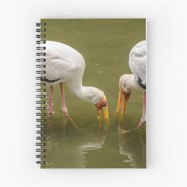 Item preview, Yellow Billed Storks designed and sold by Werner Padarin.