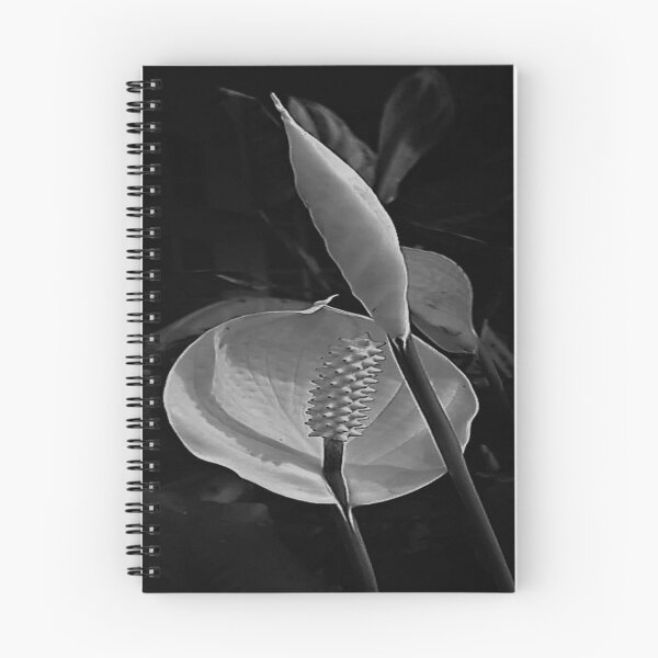 Item preview, BEAUTIFUL BLACK AND WHITE FLOWER  designed and sold by Coolklaset.