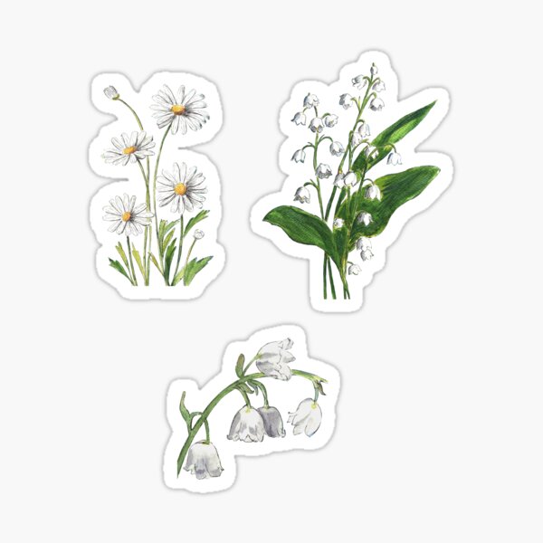 White Flowers Sticker and Magnet Pack Sticker