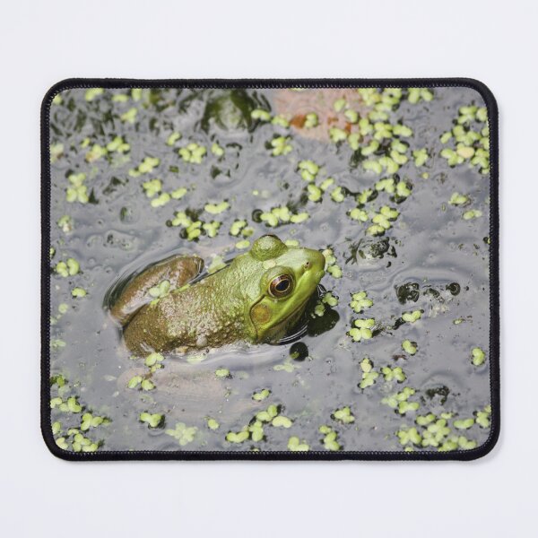 Item preview, Native American Bully (Bullfrog) Study 2 designed and sold by chstudios.