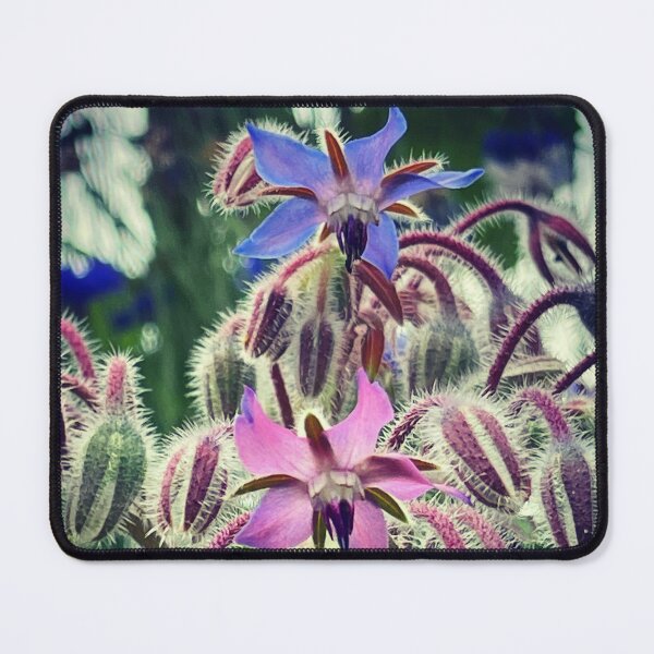 Item preview, Borage designed and sold by roadwarriorart.