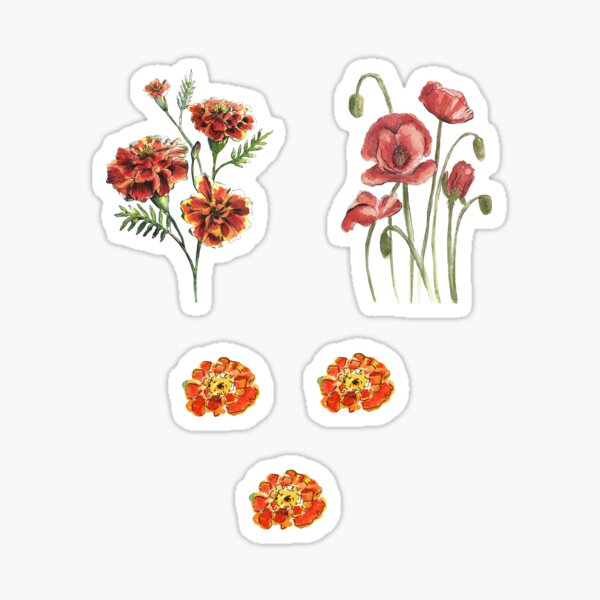Red Orange Flowers Sticker and Magnet Pack Sticker