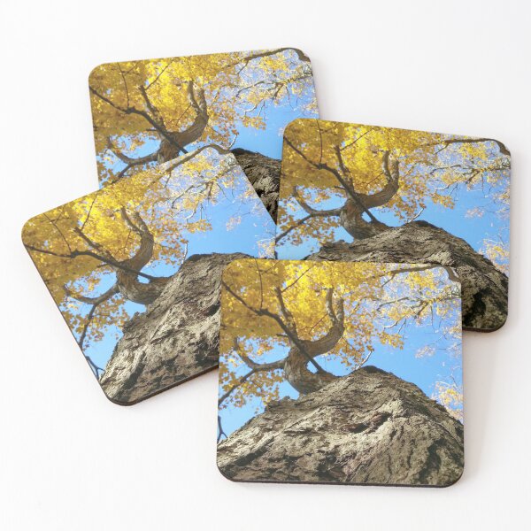 Item preview, H0009 Autumn Tree designed and sold by photographyemd.