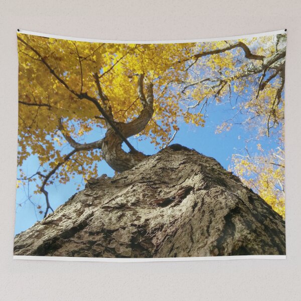 Item preview, H0009 Autumn Tree designed and sold by photographyemd.