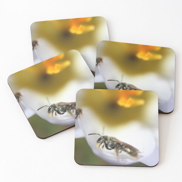 Item preview, H0010 Busy Hornet designed and sold by photographyemd.