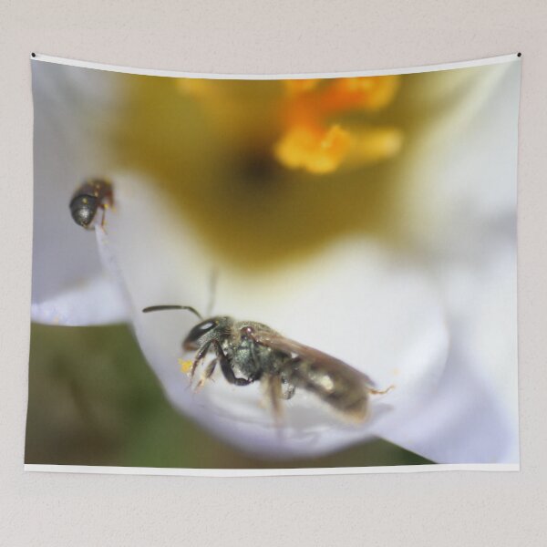 Item preview, H0010 Busy Hornet designed and sold by photographyemd.