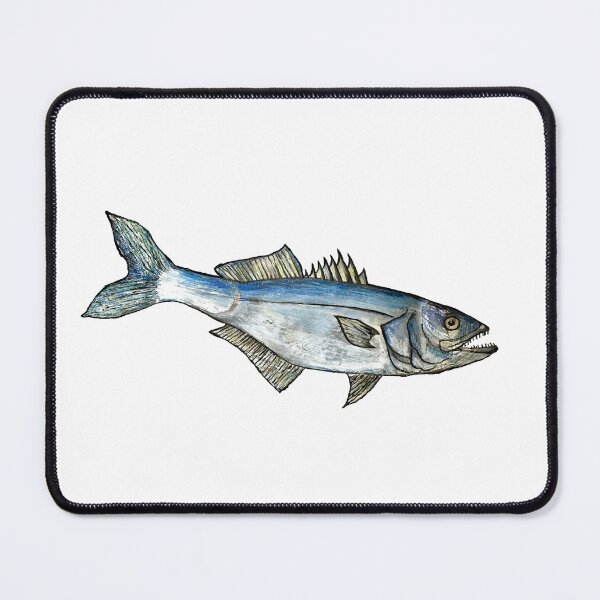 Item preview, Snapper Bluefish Illustration designed and sold by Michelebuttons.