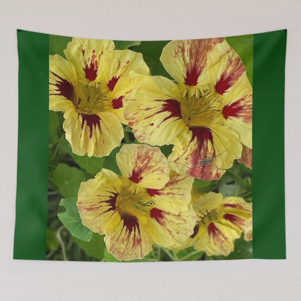 Item preview, Nasturtium designed and sold by roadwarriorart.