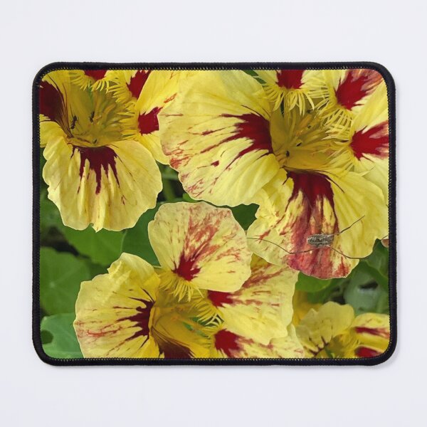 Item preview, Nasturtium designed and sold by roadwarriorart.