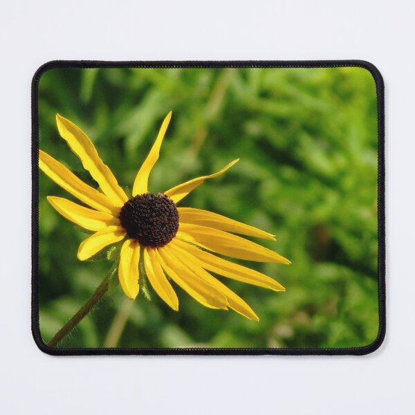 Item preview, Black Eyed Susan designed and sold by inklingsphotos.