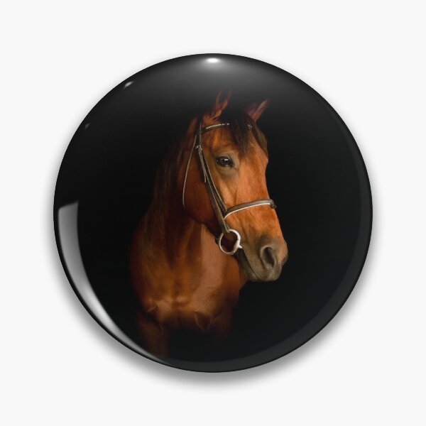 Item preview, Horse HD designed and sold by TheOnionPatch.