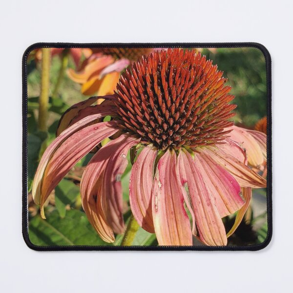 Item preview, Coneflower designed and sold by AbicArtsStudio.