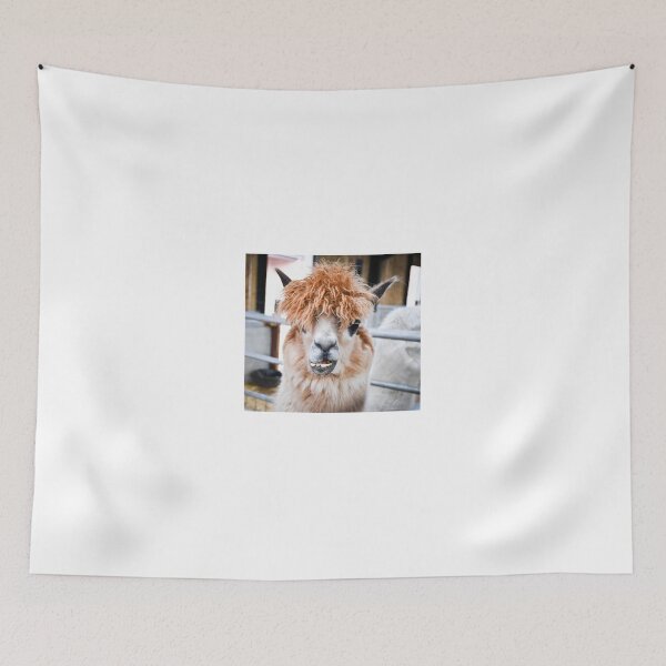 Item preview, Alpaca designed and sold by Mike Higgins.