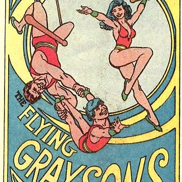 Artwork thumbnail, The Flying Graysons by KingdomofKeys