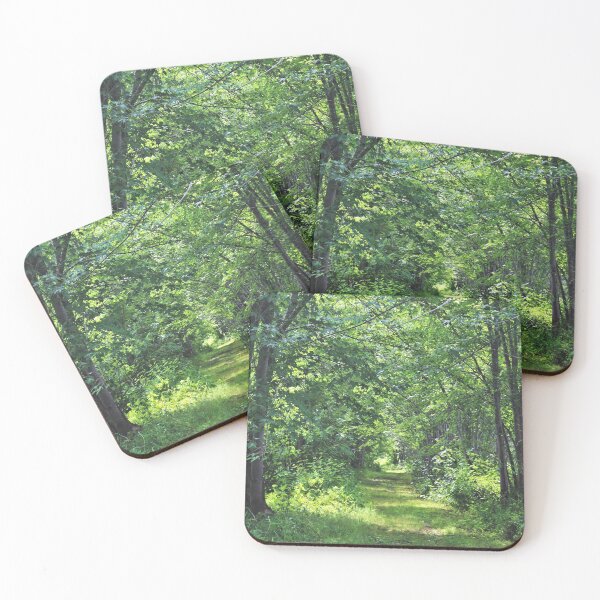 Item preview, Sendero del pantano de Belleisle Creek designed and sold by Kathleen Daley.