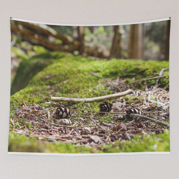 Item preview, H0013 Pinecones designed and sold by photographyemd.