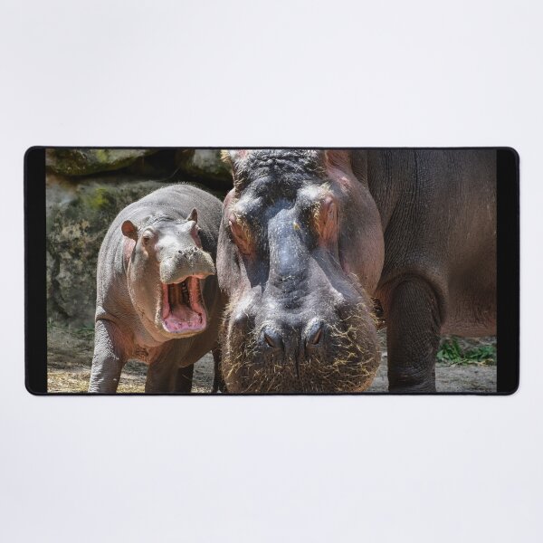 Hippo Desk Mat