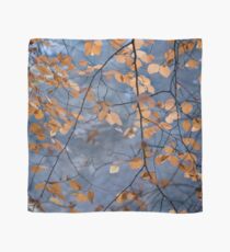 Autumn mystery Scarf