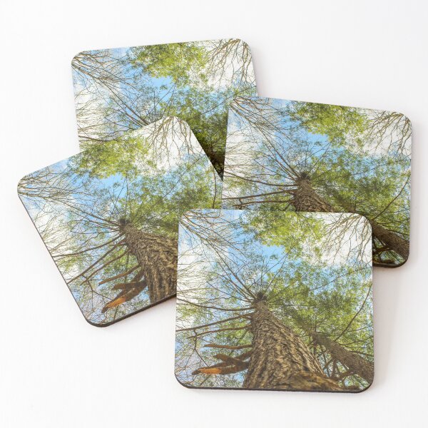 Item preview, H0014 View From Below designed and sold by photographyemd.