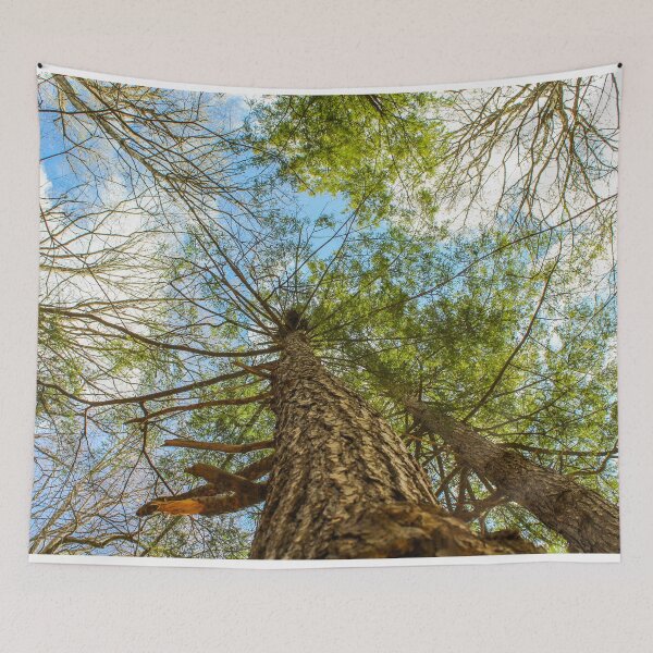 Item preview, H0014 View From Below designed and sold by photographyemd.