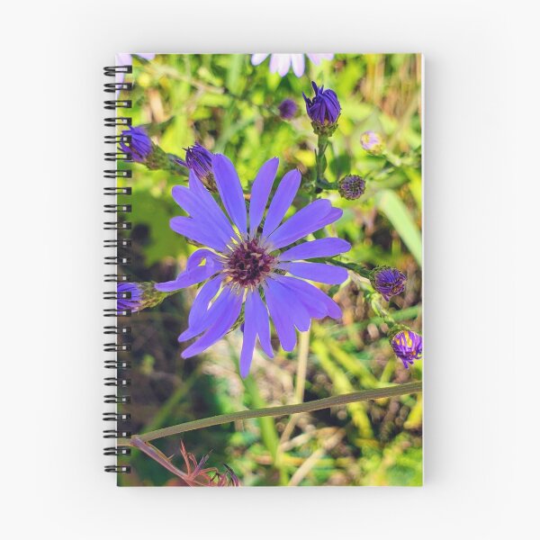 Item preview, Purple Aster designed and sold by AbicArtsStudio.
