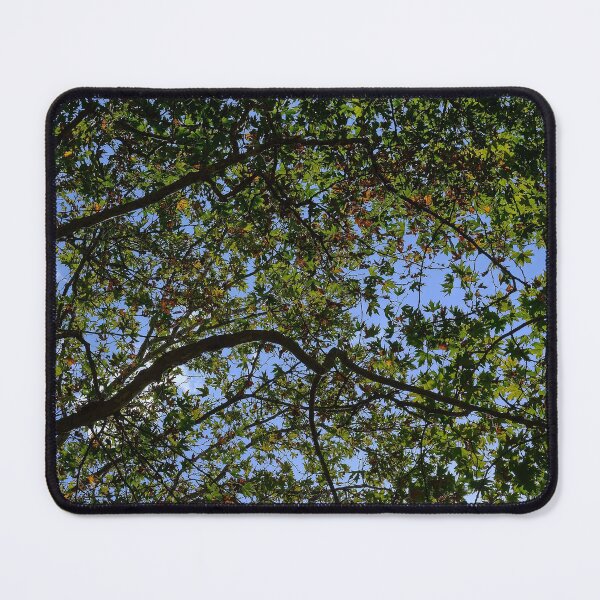 Item preview, The sound of the tree designed and sold by Kiran-Fine-Art.