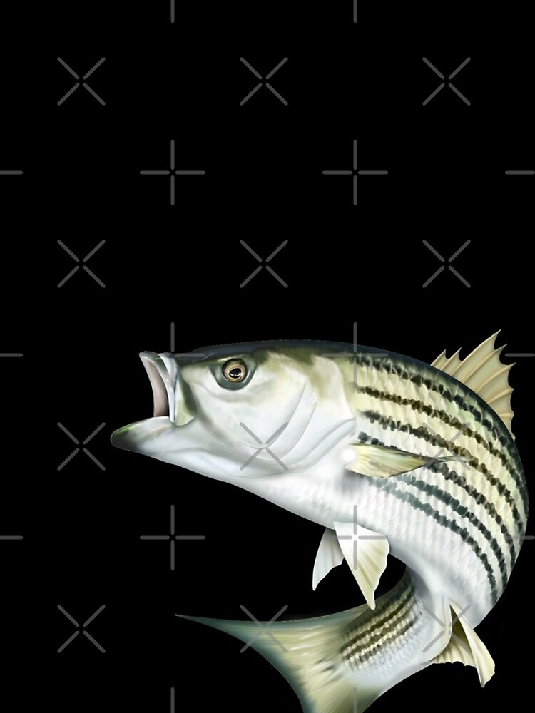 Striped Bass Good Day Fishing Art Print for Sale by Mary Tracy