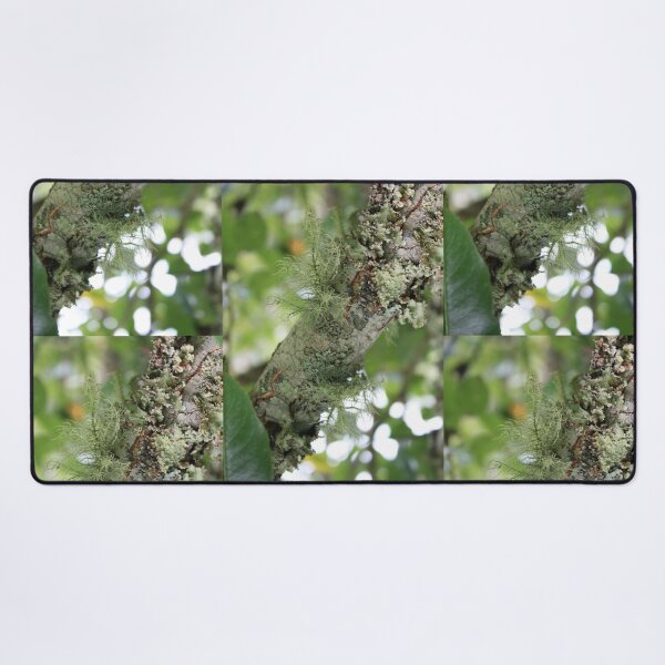 Item preview, What's not to lichen?  designed and sold by chstudios.